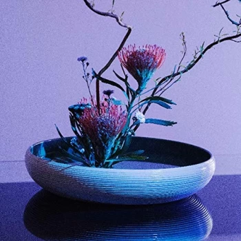 Image of S S S S - Walls, Corridors, Baffles Vinyl