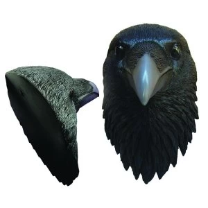Image of Ravens Watch