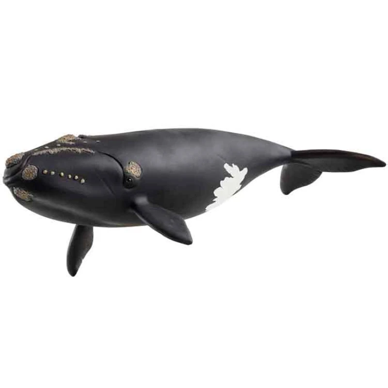 Image of AJ Toys & Books Schleich North Atlantic Right Whale