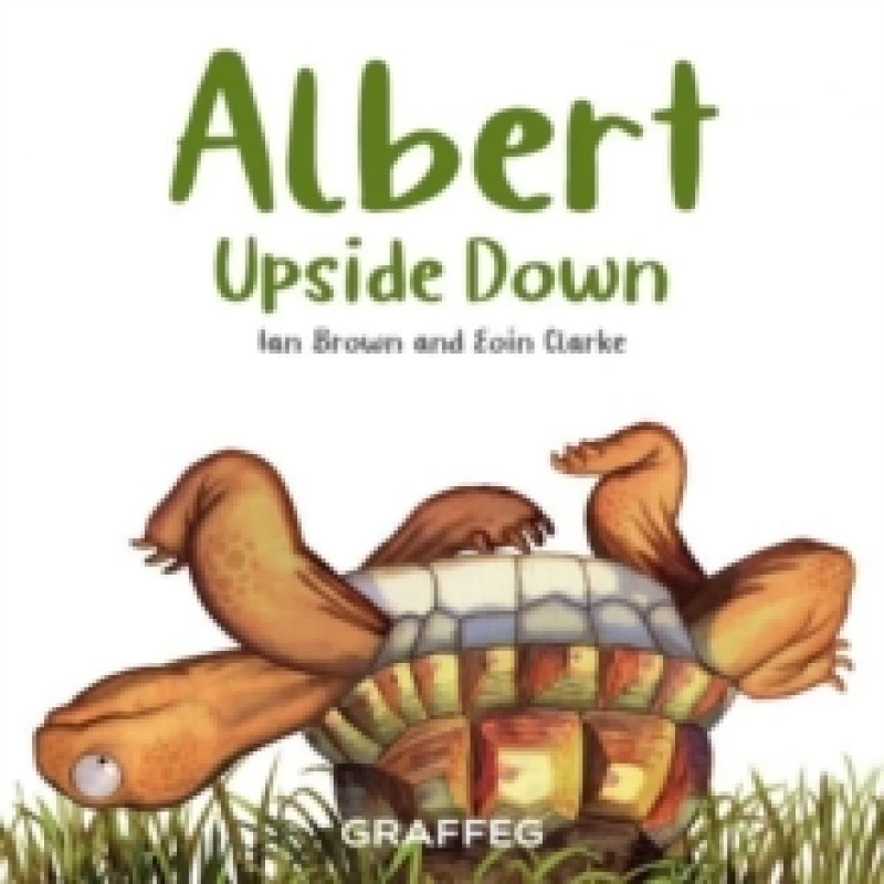 Image of Albert Upside Down Paperback / softback