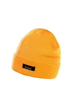 Image of Lightweight Thermal Winter Thinsulate Hat (3M 40g)