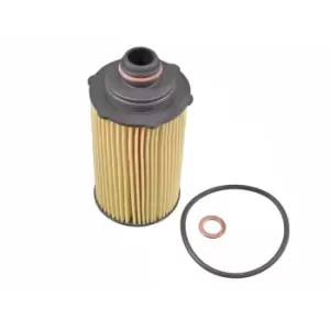 Image of Oil Filter ADG02161 by Blue Print
