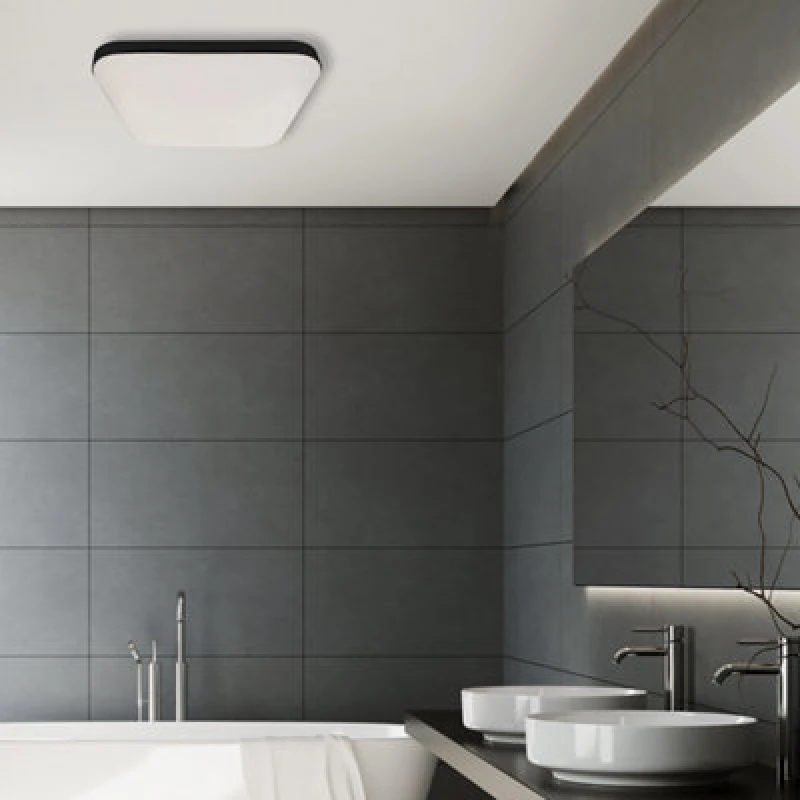 Image of Milagro Nemo 17W(100W) Ceiling Lamp A Stylish Robust 33Cm Ceiling Lamp With Matt Black Edging Outdoor Or Bathroom