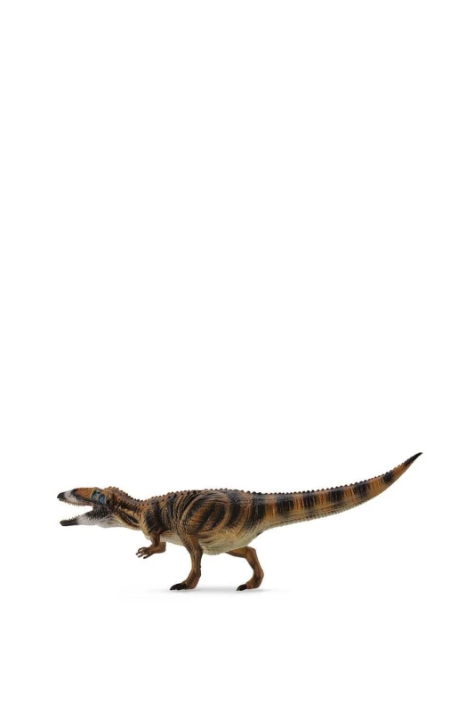 Image of CollectA Carcharodontosaurus Dinosaur Toy Dark Brown unisex