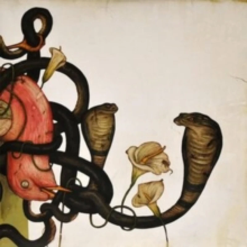 Image of Head Down CD / Album Digisleeve