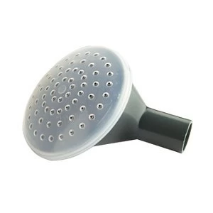 Image of Ward Watering can rose