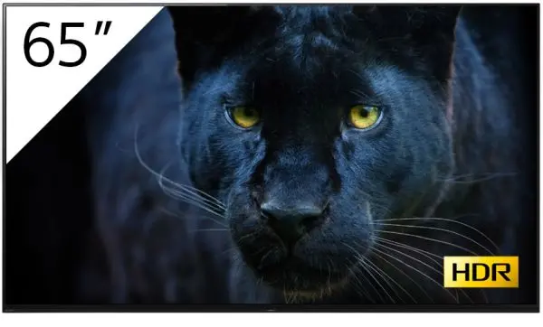 Image of Sony 64.5" FWD-65A8/T 4K Ultra HD OLED Signage Display