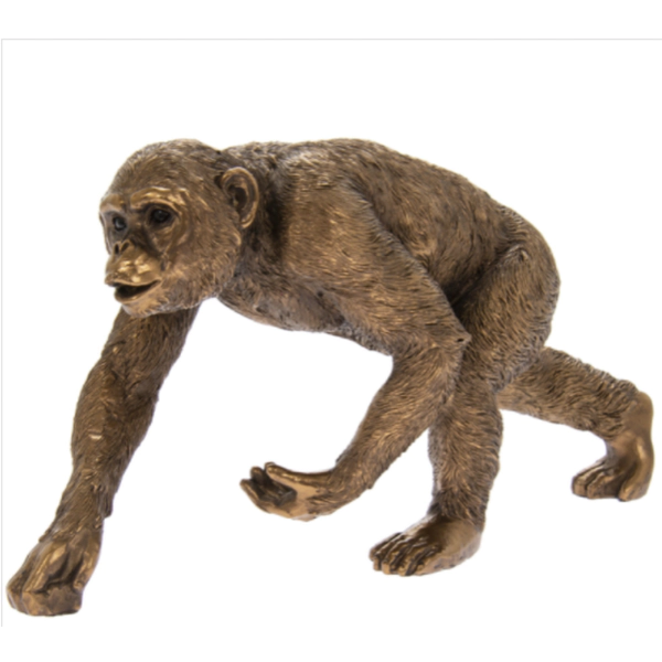 Image of Bronze Chimpanzee By Lesser & Pavey