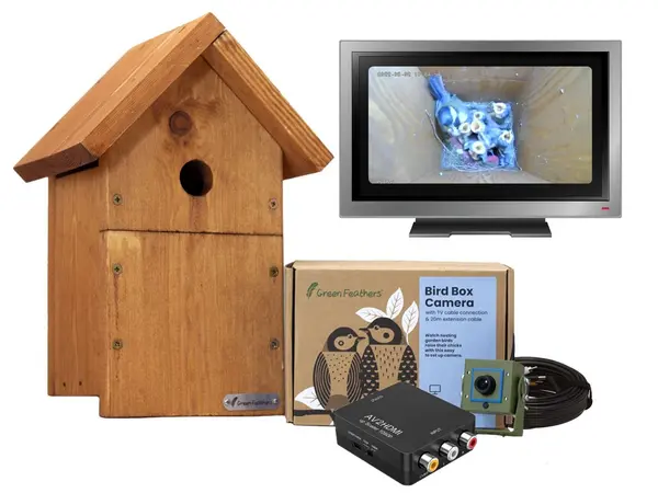 Image of Green Feathers Bird Box Camera with TV Connection Starter Pack Green
