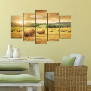 Image of 5MF-14 Multicolor Decorative MDF Painting (5 Pieces)