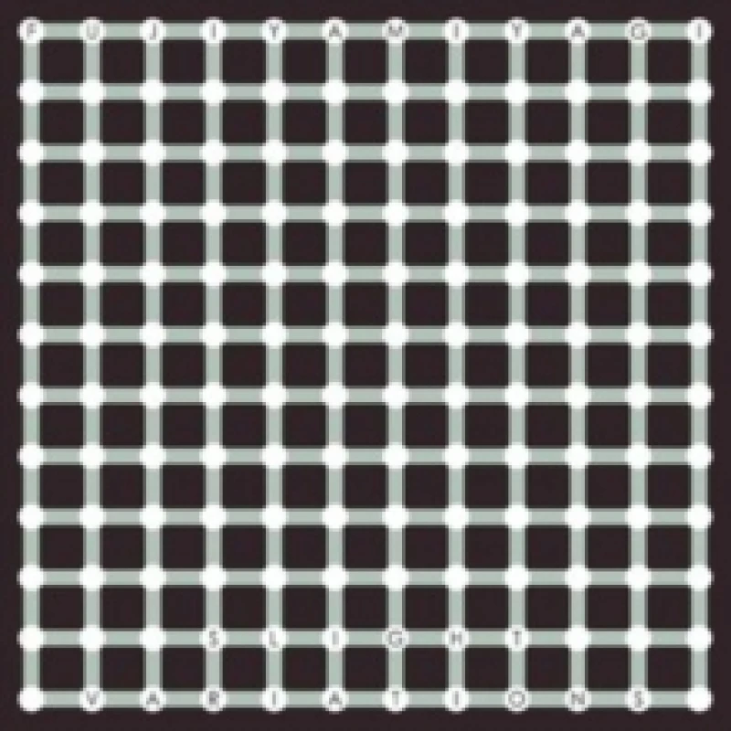 Image of Fujiya & Miyagi - Slight Variations [CD / Album] Music CDs - Music CD