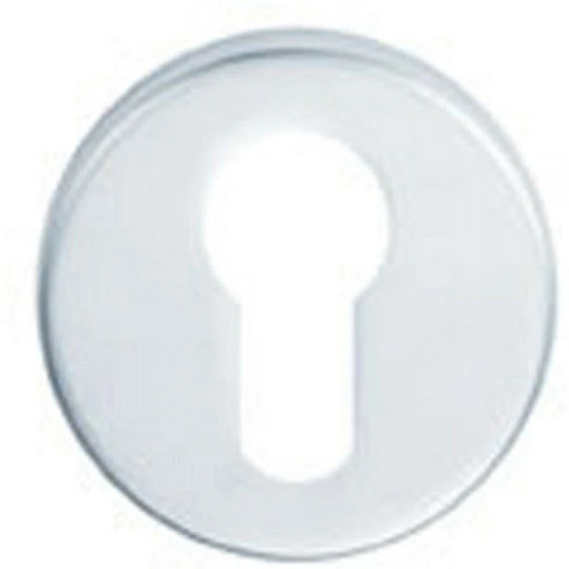 Image of Loops 52mm Euro Profile Round Escutcheon Concealed Fix Satin Stainless Steel Metallics unisex