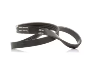 Image of SKF V-ribbed belt FORD,RENAULT,JAGUAR VKMV 4PK735 1120199,XS7E6C301CC,JD61137 XS7E6C301CC,7700870367