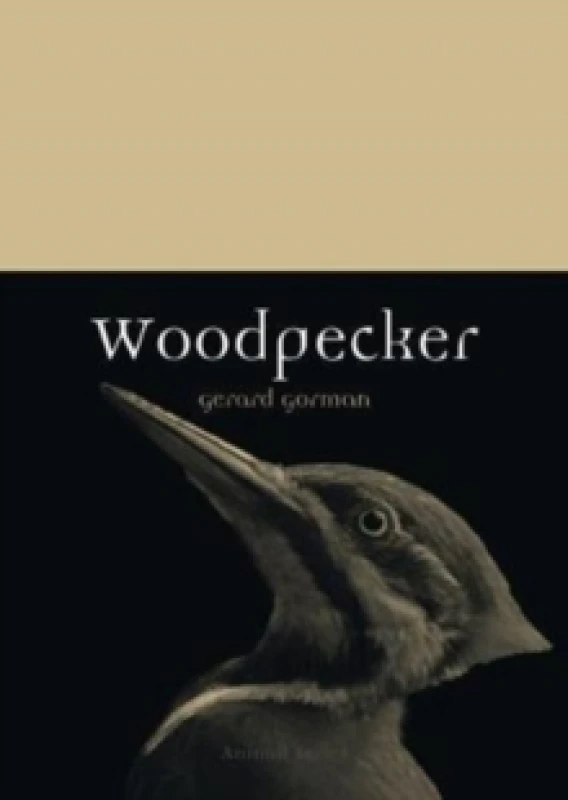 Image of Woodpecker Paperback / softback