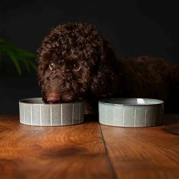 Image of Scruffs Scruffs Luxirous Reactive Glaze Dog Bowl Set 15cm SET/RCD/829146