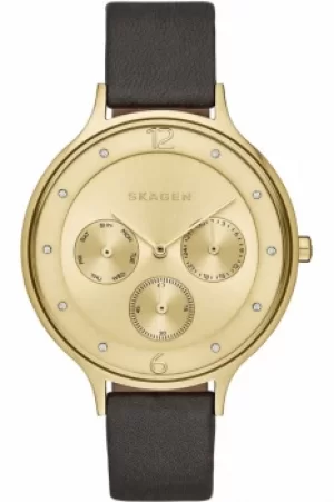 Image of Ladies Skagen Anita Watch SKW2393