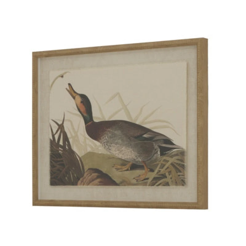 Image of Flora & Fauna Collection Duck On Linen In Beaded Frame