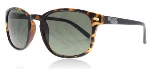 Image of American Freshman Alex Sunglasses Tortoise AFS014 52mm