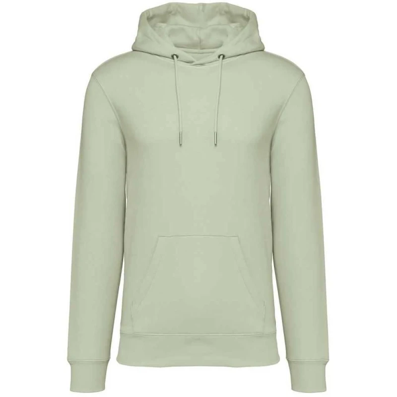 Image of Native Spirit PC5121 womens Sweatshirt in Green