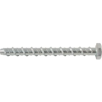 Image of Hex Head Concrete Bolt 10X100 R-LX-08X100-H-ZP- you get 5 - Rawl