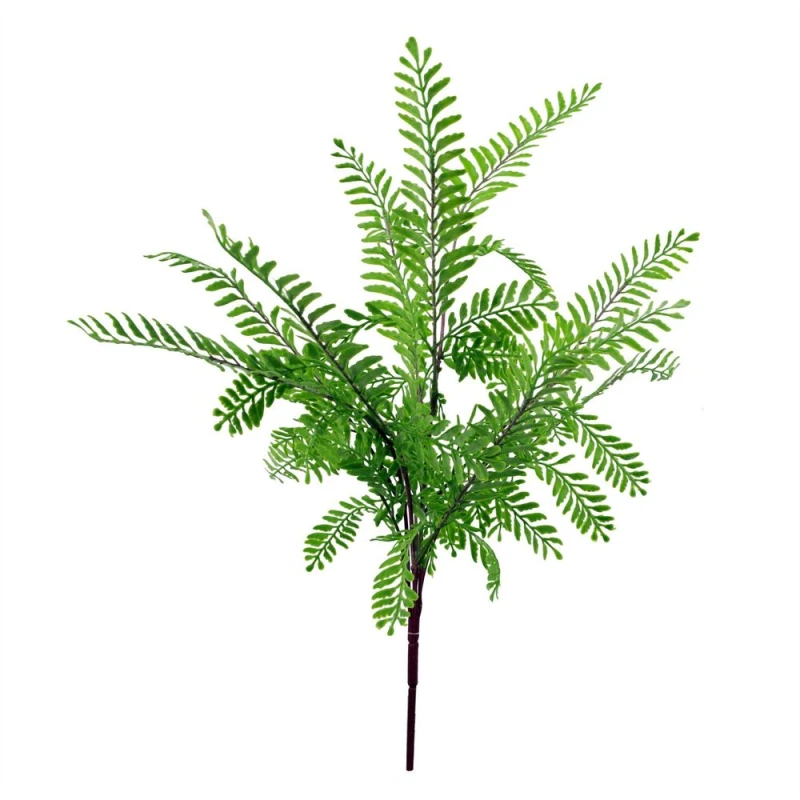 Image of Leaf 55cm Himilayan Maidenhair Fern Bush Light Green Plant