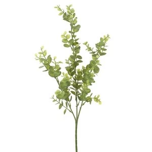 Image of Leafy Greenery Branches