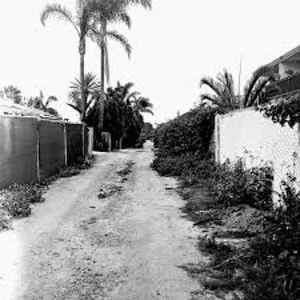 Image of Throwing Muses – Sun Racket Monochrome Edition Vinyl