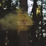 Image of Olivia's Attic - Moments Arriving (Music CD)