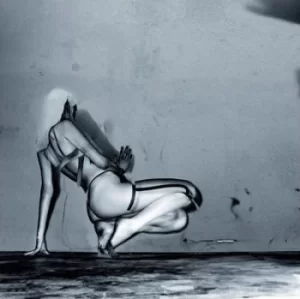 Image of Where Did the Night Fall by UNKLE Vinyl Album