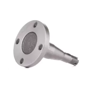 Image of RIDEX Wheel Hub OPEL,VAUXHALL 653W0127 0418003,0418122,418003 418122,90129572,94721567