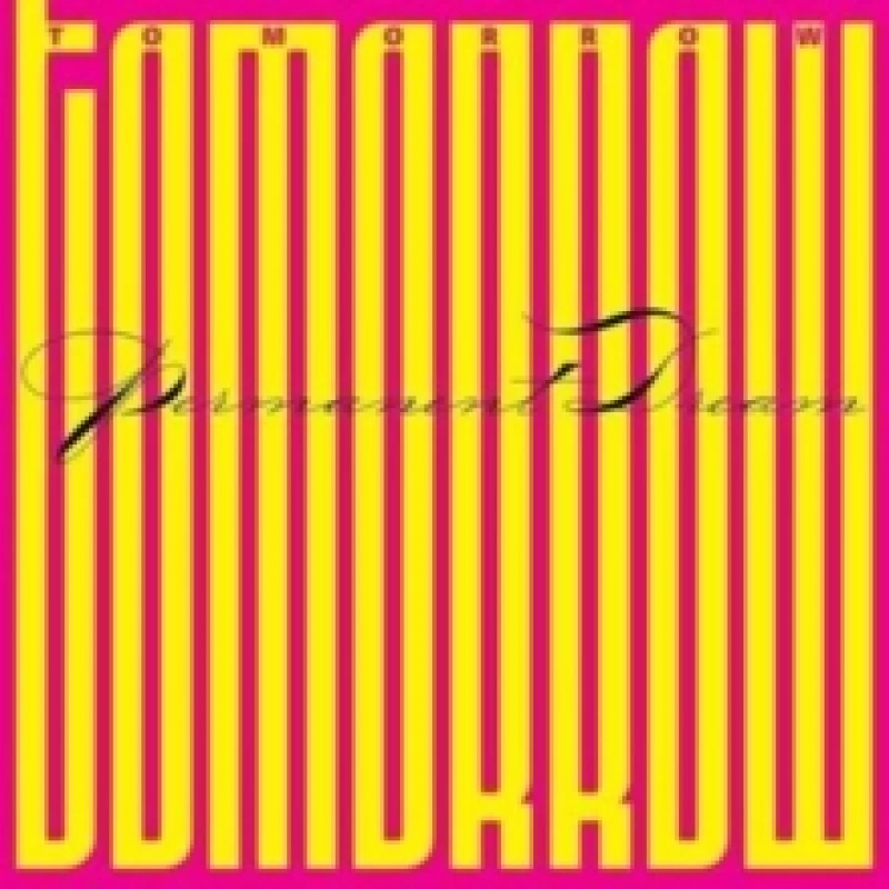 Image of Permanent Dream Vinyl