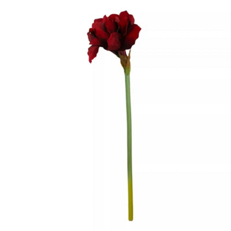 Image of Premier Housewares Fiori Artificial flowers 72cm Amarylilis Stem Ivory Flower Red