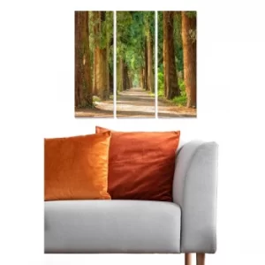 Image of MDF2215317 Multicolor Decorative MDF Painting (3 Pieces)