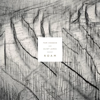 Image of Tom Hobden And Eliot James - Present Roam Vinyl