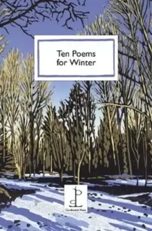 Image of Ten Poems for Winter