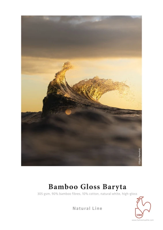 Image of 3PL BAMBOO GLOSS BARYTA-A3 25S 305 10641862