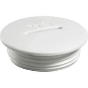 Image of Wiska 50060733 VSG 21 Locking Screw