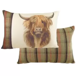 Image of Hunter Highland Cow Rectangular Cushion Multicolour
