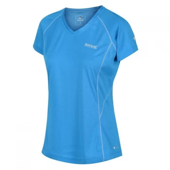 Image of Regatta Devote - Blue Aster