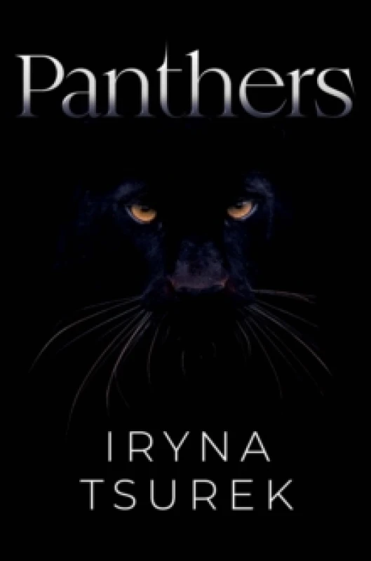 Image of Panthers Paperback / softback