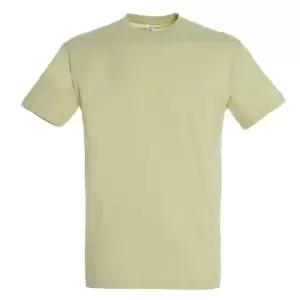 Image of SOLS Mens Regent Short Sleeve T-Shirt (L) (Green Sage)