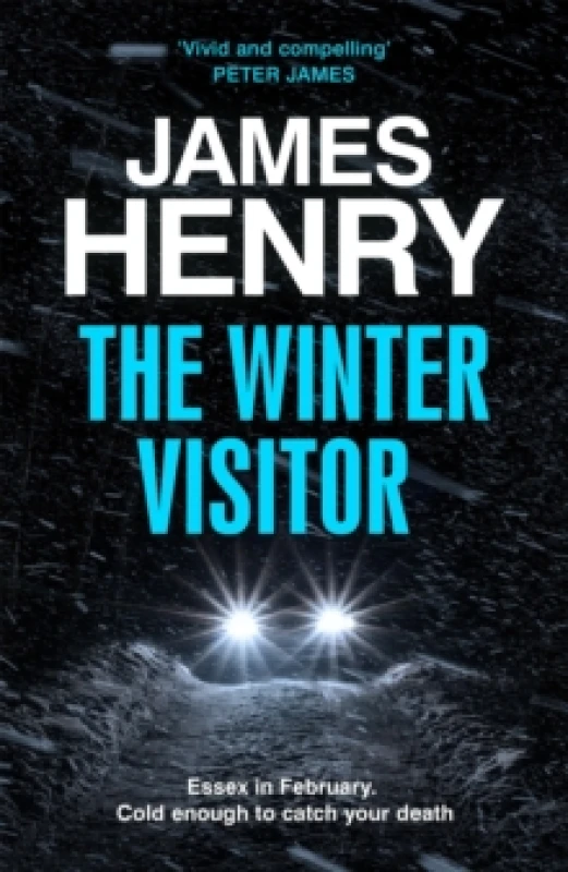 Image of The Winter Visitor : the explosive new thriller set in the badlands of Essex Hardback