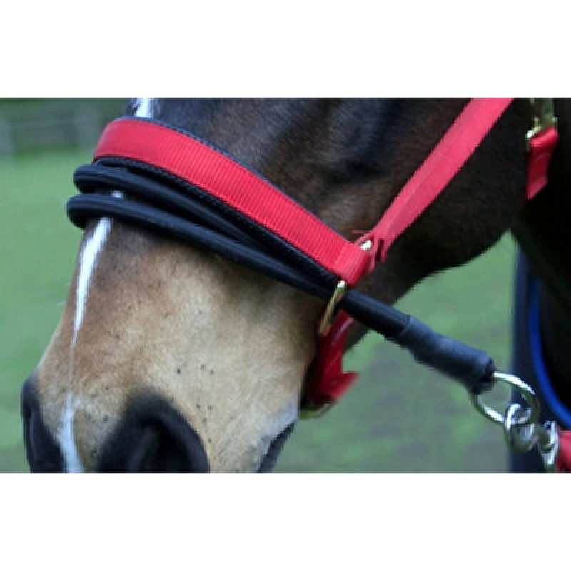 Image of Sundry Ezyloader Horse Head Collar Adapter Black (One Size)