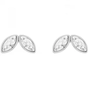 Image of Ted Baker Ladies Silver Plated Genii Geometric Bee Stud Earring