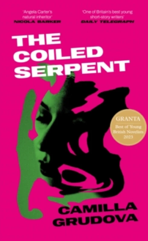 Image of The Coiled Serpent : Longlisted for the Dylan Thomas Prize 2024 Hardback