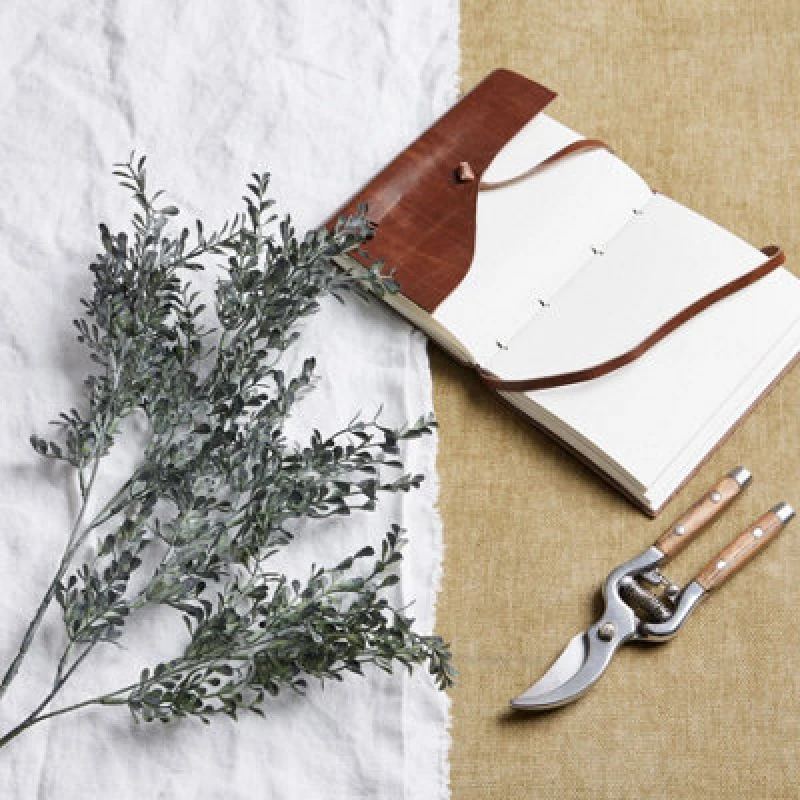 Image of Blackened Grass Spray Stem