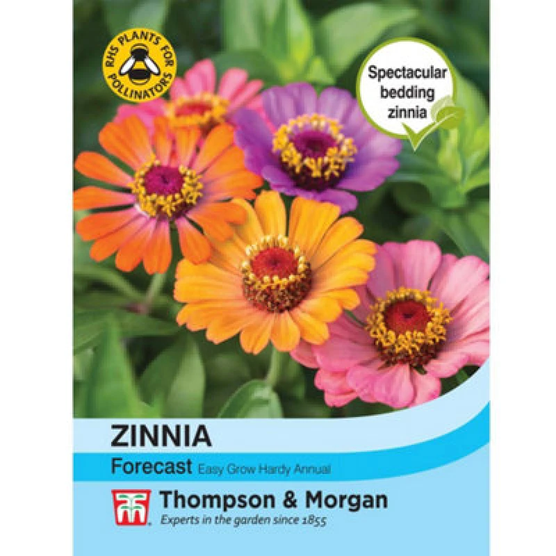 Image of Thompson & Morgan Zinnia Elegans Forecast 1 Seed Packet (40 Seeds)