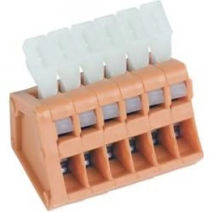 Image of Spring loaded terminal 0.50 mm2 Number of pins 2 AKZ31912KD 2.54