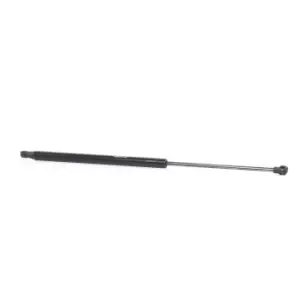 Image of RIDEX Tailgate strut 219G0329 Gas spring, boot- / cargo area,Boot struts NISSAN,Qashqai / Qashqai +2 I (J10, NJ10)