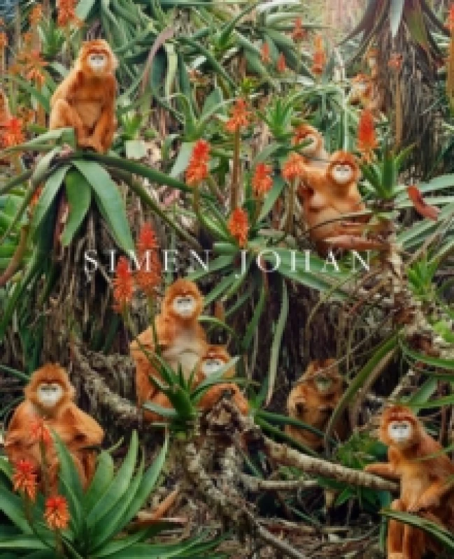 Image of Simen Johan Hardback
